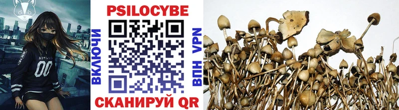 Псилоцибиновые грибы GOLDEN TEACHER  Курлово 